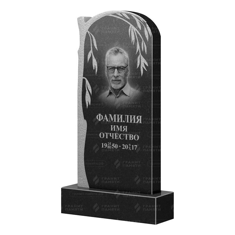Памятники из гранита с деревом в Томске | Гранитный памятник ФГ-090